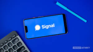 Signal网页版的聊天字体设置指南