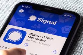 Signal中文